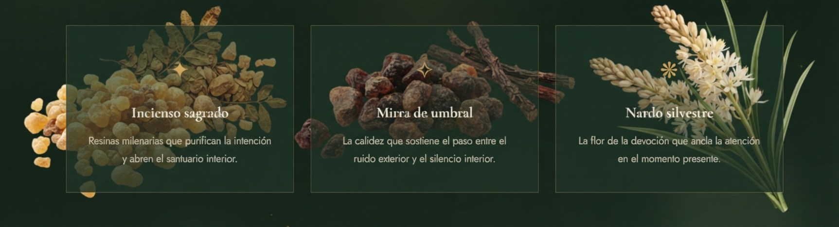 Las tres notas de SHADDAI: incienso sagrado, mirra de umbral y nardo silvestre
